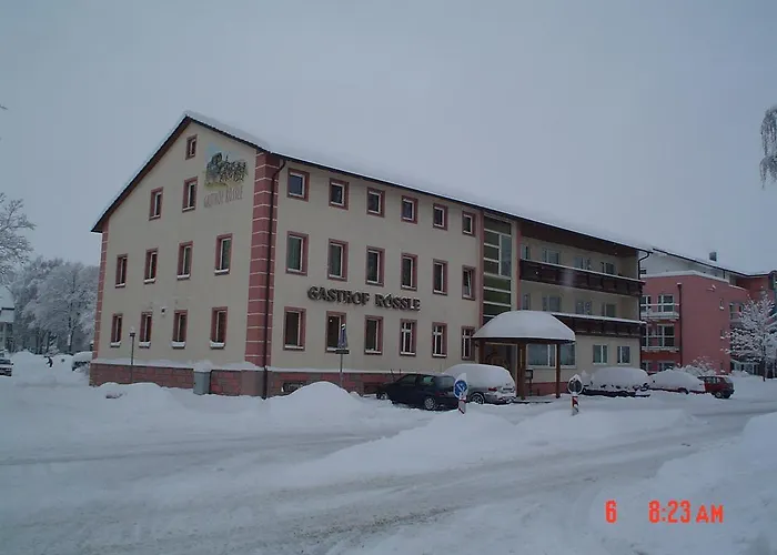 Roessle Отель 2*