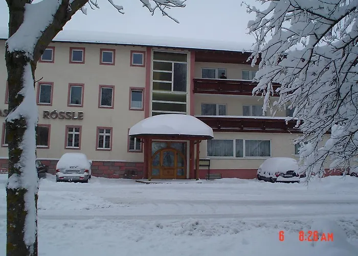 Roessle Отель Бад-Дюрхайм